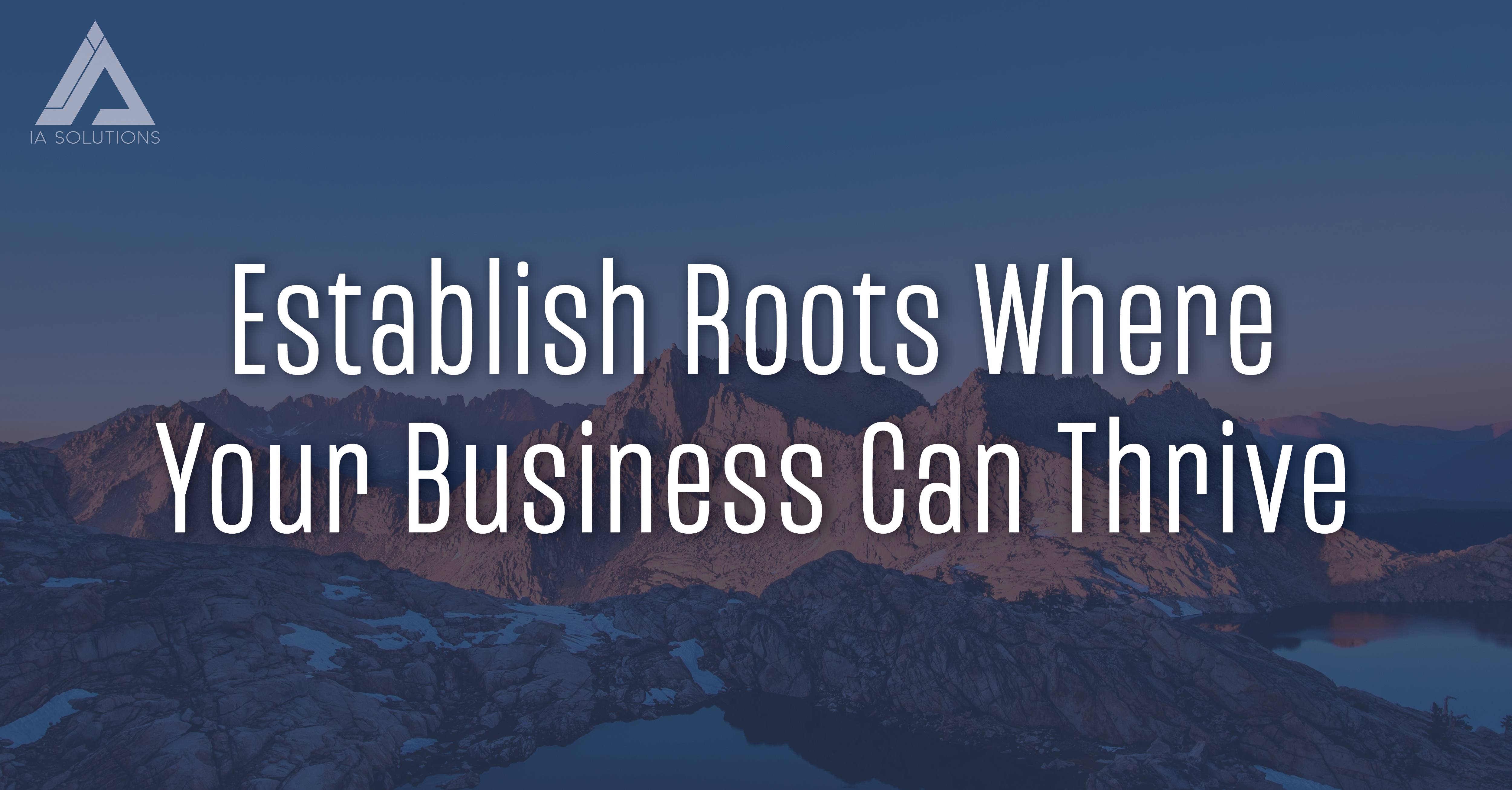 Establish Roots Where Your Business Can Thrive